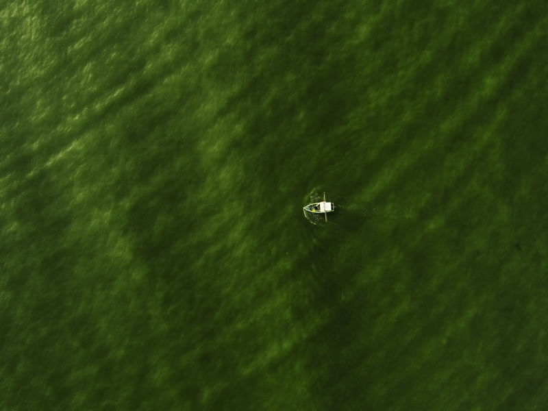 ARTE AO MAR