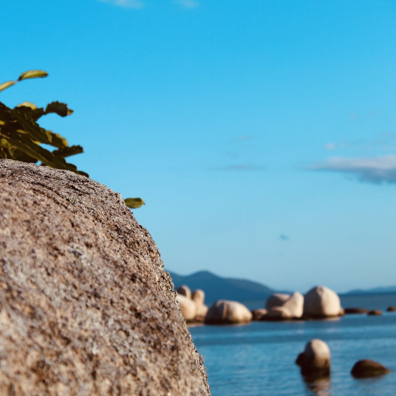 MAR DE PEDRAS