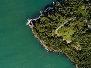 O VERDE DA NATUREZA II