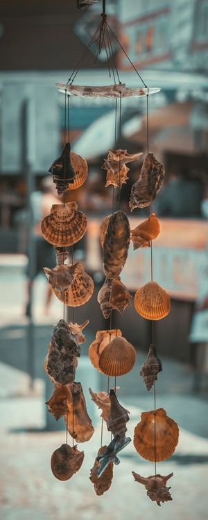 STRINGS OF CONCH