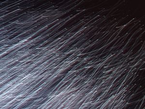 ABSTRACT RAIN DROPS I