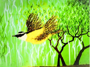 PASSARO GRAFITE