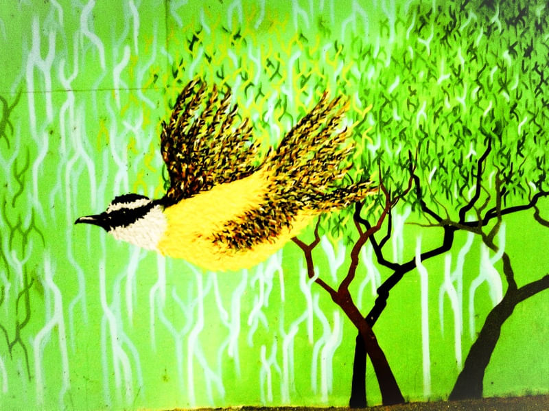 PASSARO GRAFITE