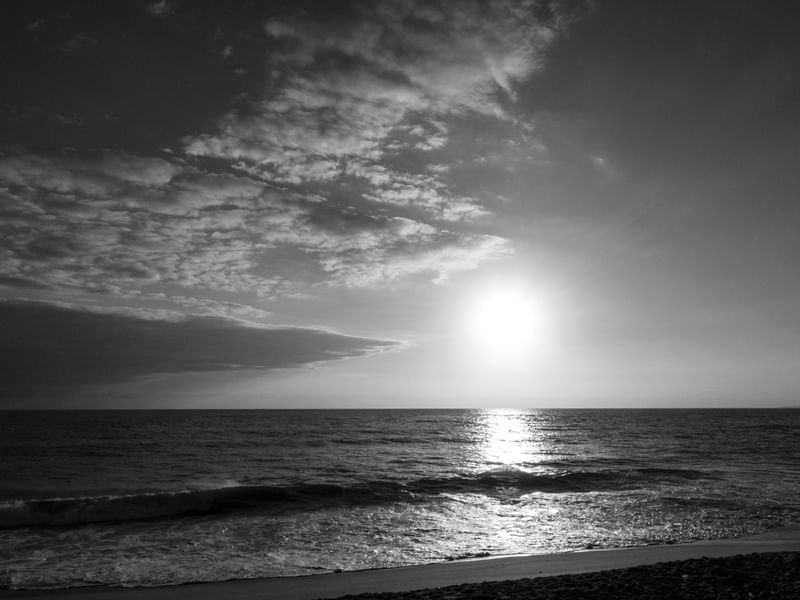 O SOL E O MAR II