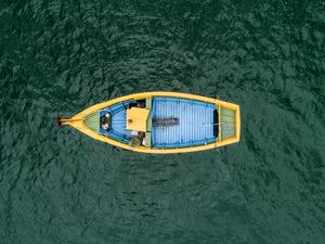 O BARCO AZUL E AMARELO