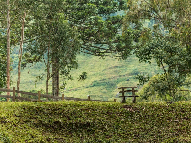 CAMPO DAS ARAUCÁRIAS 5