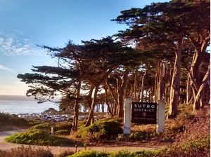 SAN FRANCISCO CALIFÓRNIA