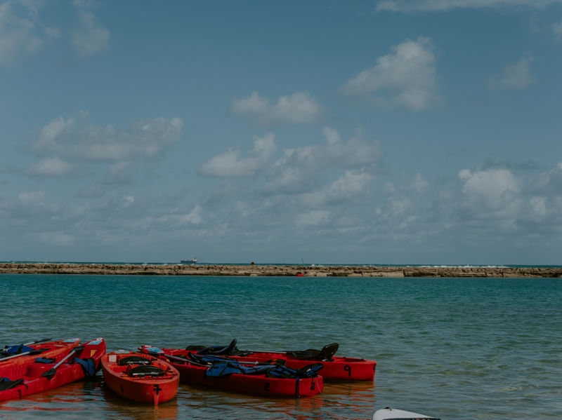 PORTO DE GALINHAS LINDO