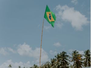 BANDEIRA DO BRASIL