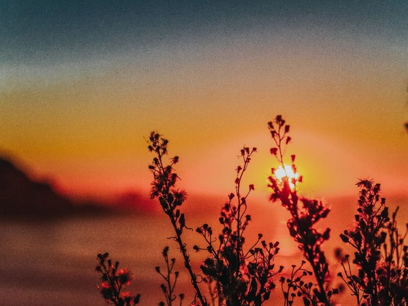 SUNSET EM SAN FRANCISCO