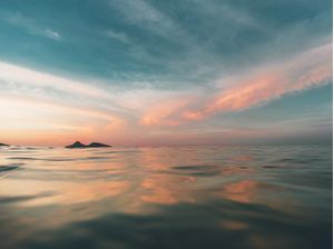 RIO PINK AND BLUE