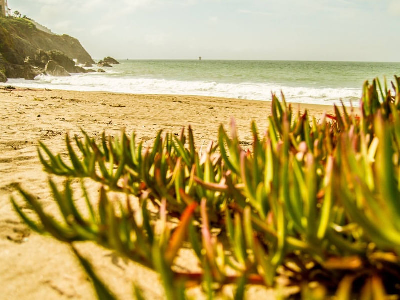 PRAIAS EM SAN FRANCISCO