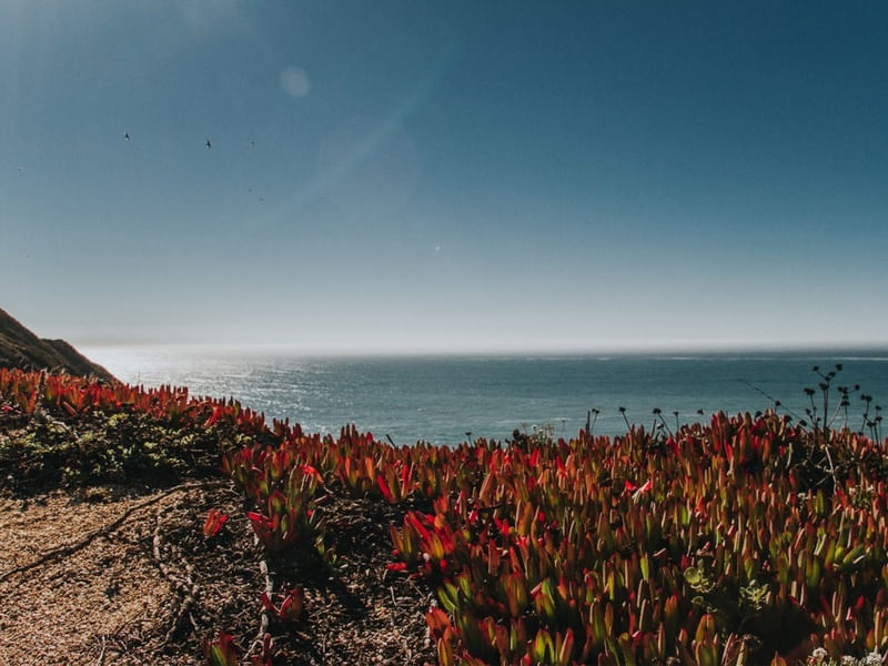 PRAIA E MAR LINDO EM SAN FRANCISCO