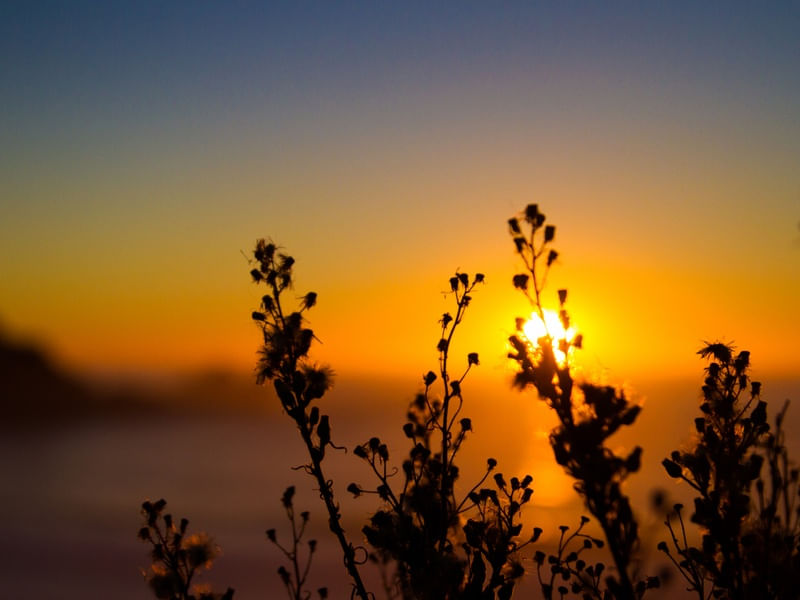 POR DO SOL NA CALIFORNIA