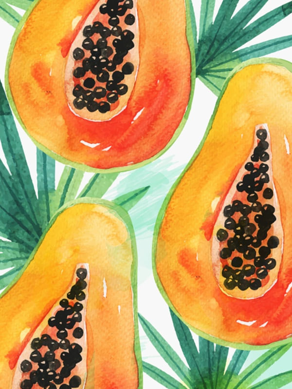 AVOCADO WATERCOLOR