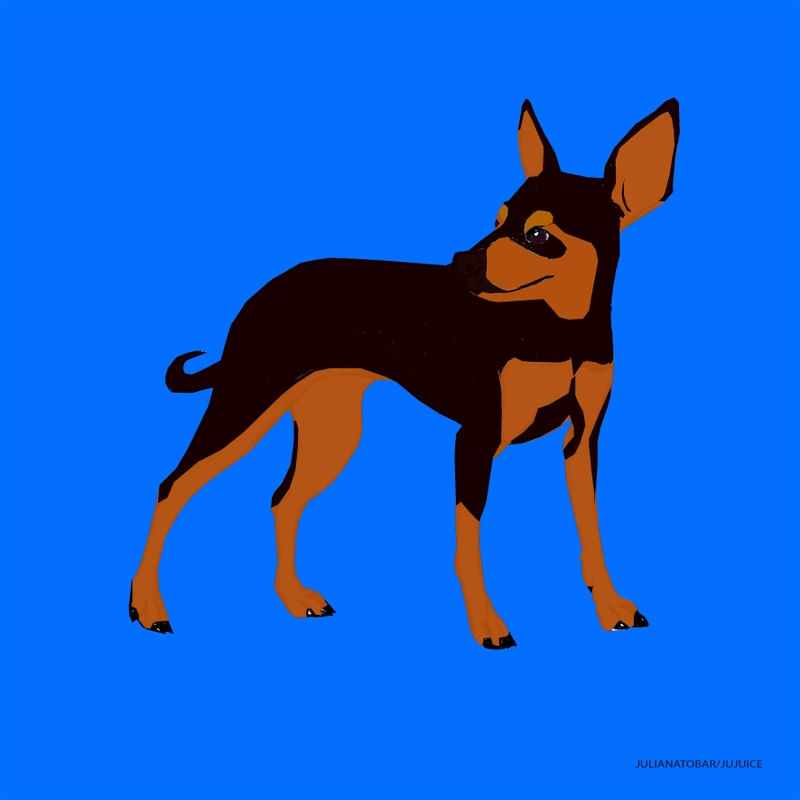 BLACKIE DOGGIE