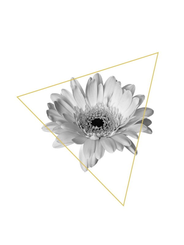 FLOWERNT