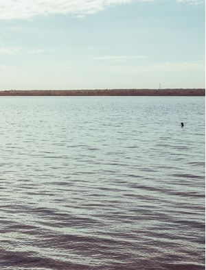 O VELEIRO NA LAGOA (QUADRÍPTICO D)