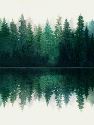 LAKE REFLECTION