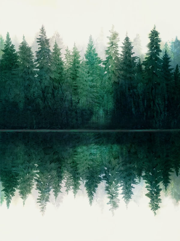 LAKE REFLECTION