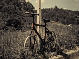 VAMOS DE BICICLETA
