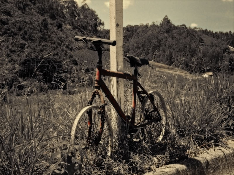 VAMOS DE BICICLETA