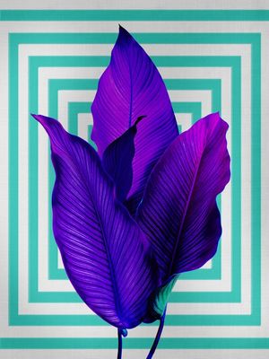 PLANTS ART 1