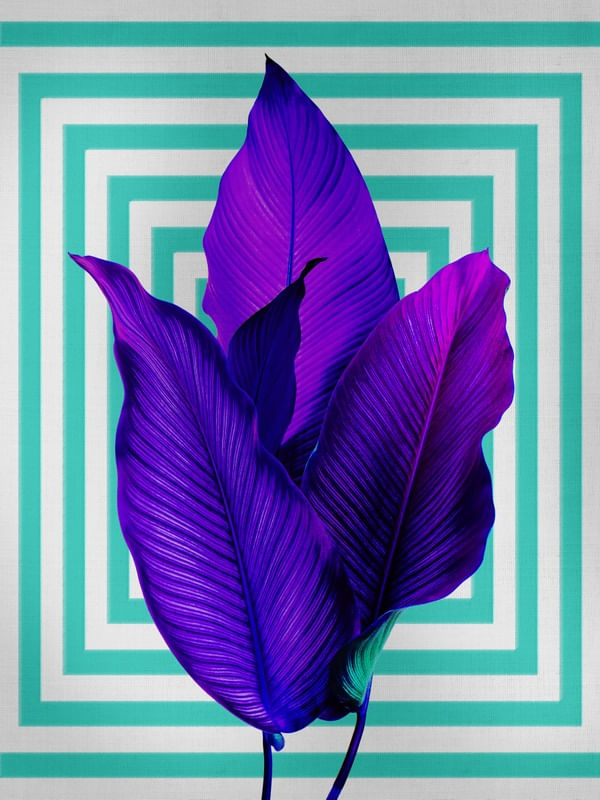 PLANTS ART 1