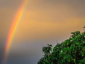 ARCO IRIS SOBRE COPA