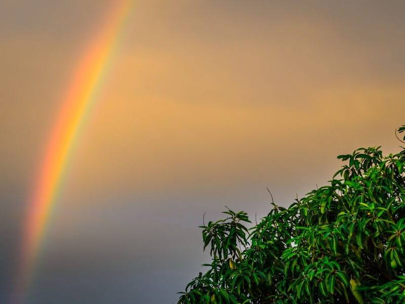 ARCO IRIS SOBRE COPA