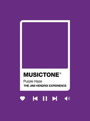 MUSICTONE JIMI HENDRIX 01