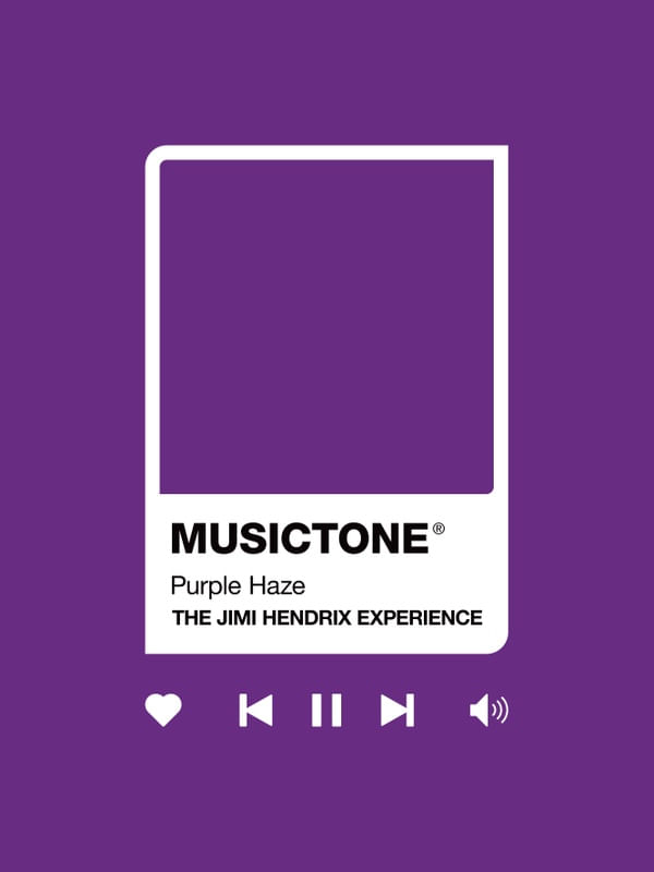 MUSICTONE JIMI HENDRIX 01