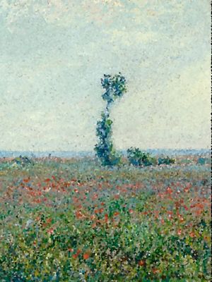 CMONET