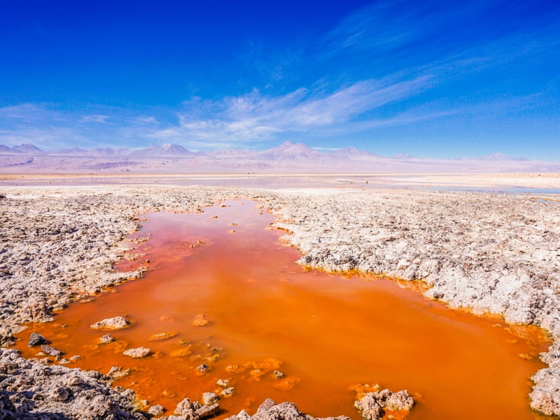 SALAR DE ATACAMA