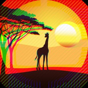 AFRICA - PÔR DO SOL