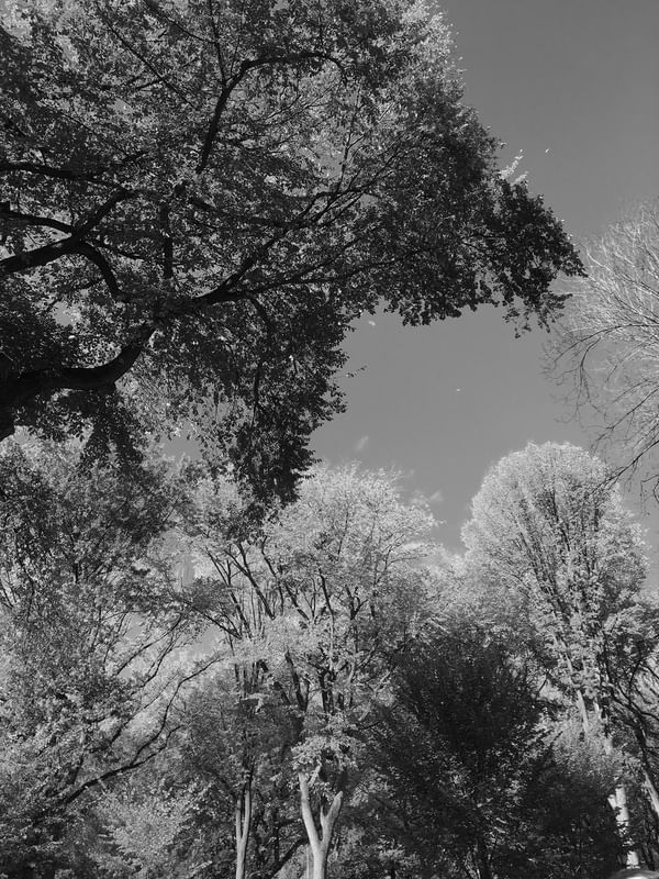 CENTRAL PARK SKY PB