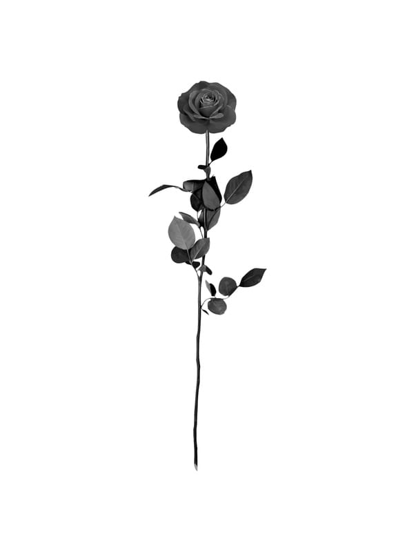 MINIMALISTAPB 1