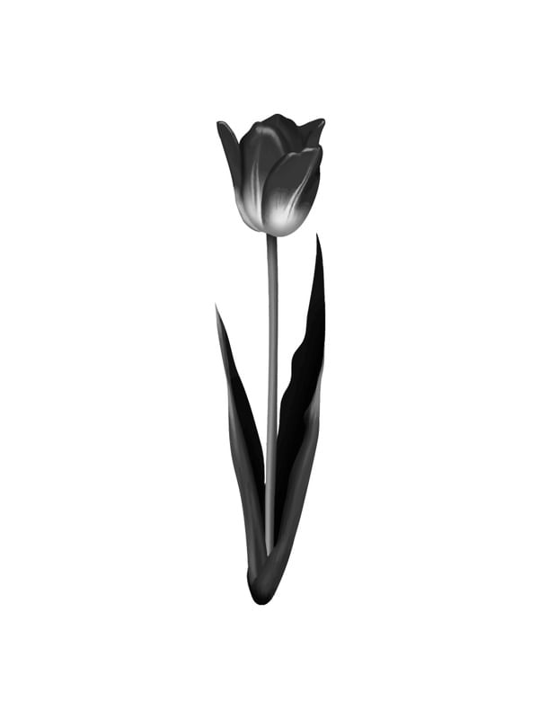 MINIMALISTAPB 2