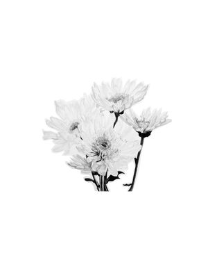 MINIMALISTASOL