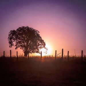ENTARDECER NA FAZENDA I