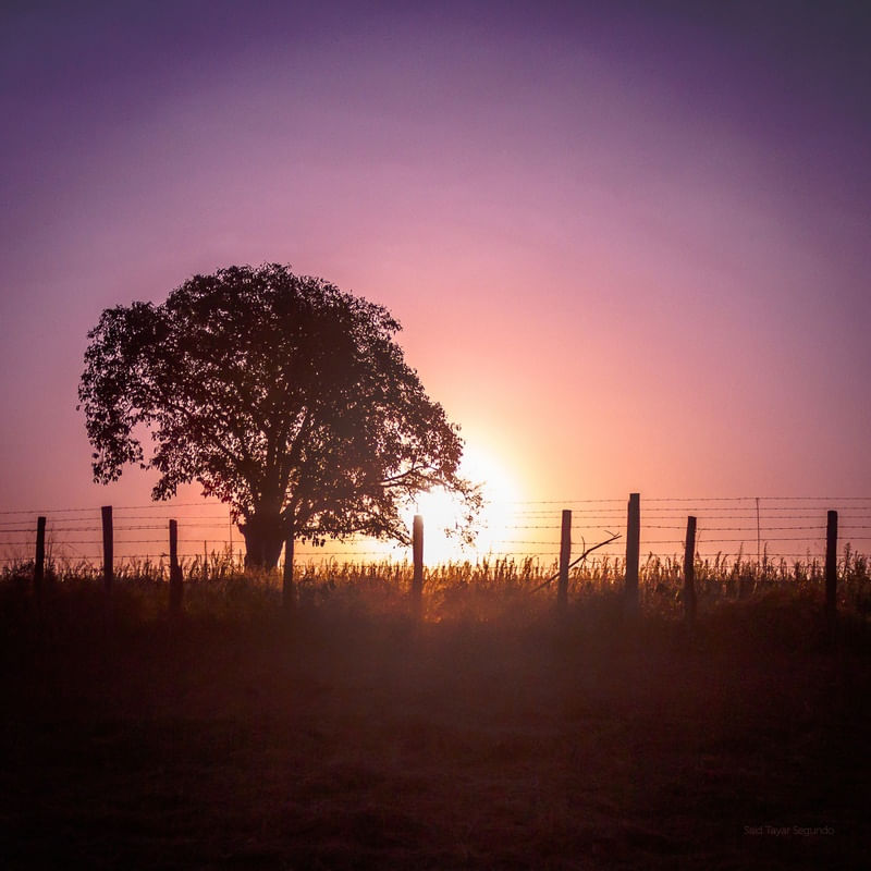 ENTARDECER NA FAZENDA I
