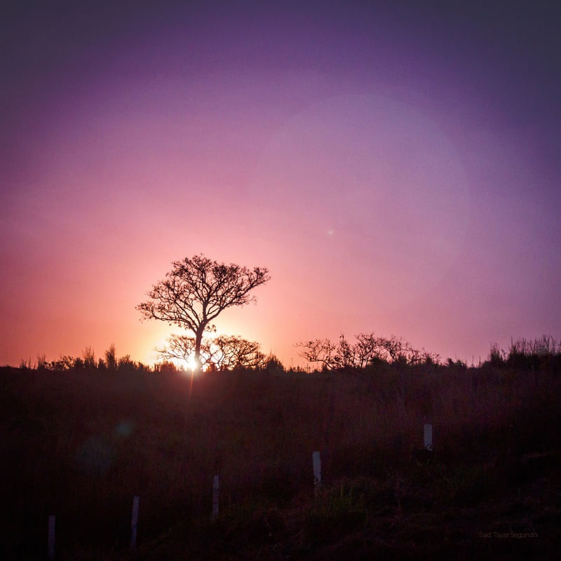 ENTARDECER NA FAZENDA I ENTARDECER NA FAZENDA II