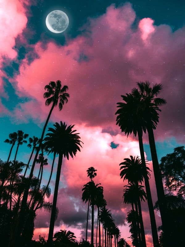 MAGIC LIFE