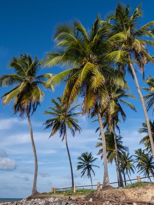 MARACAJAÚ