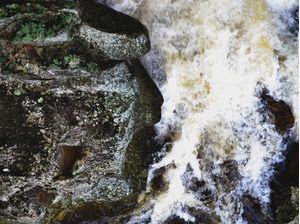 FACE OF NATURE