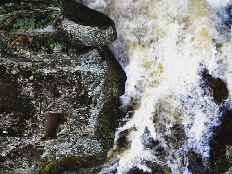 FACE OF NATURE
