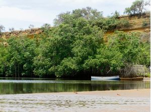 DANDE_1- ANGOLA