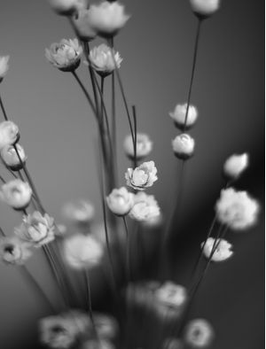 FLORES ARTIFICIAIS