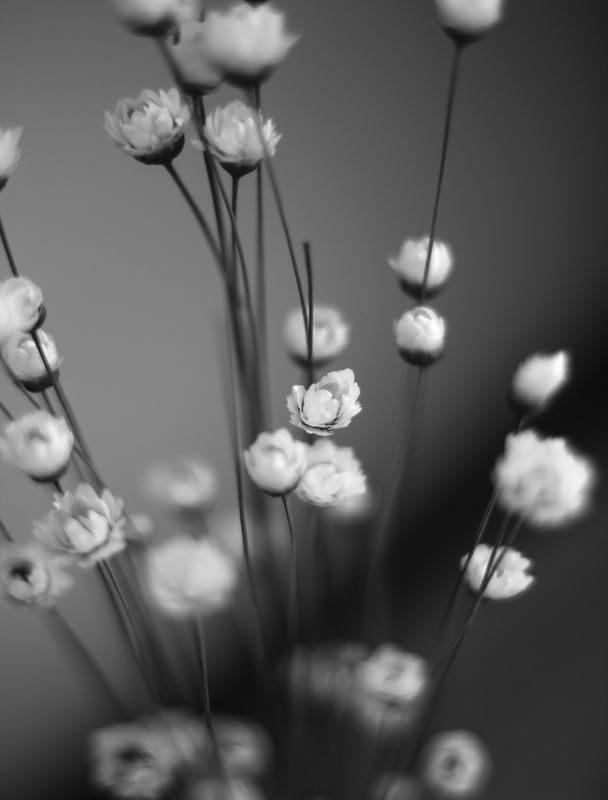 FLORES ARTIFICIAIS