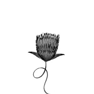 SE EU FOSSE FLOR, VOCÊ ME REGA